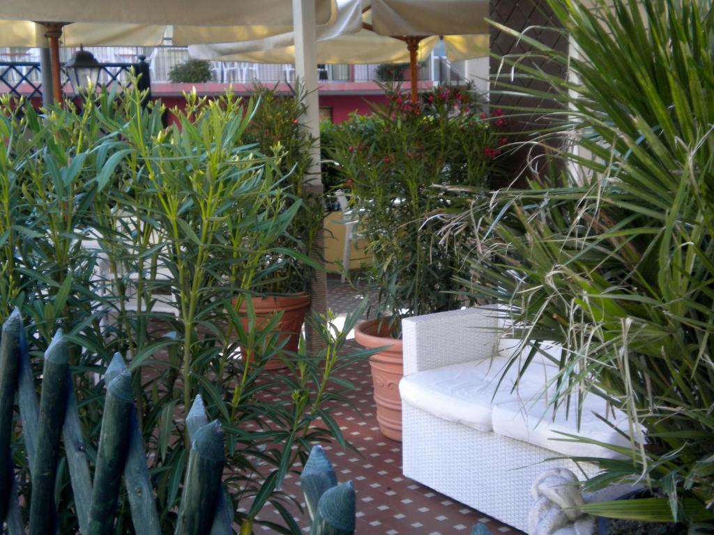 Hotel Nova Dhely Rimini Buitenkant foto
